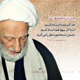 آلبوم تصاویر حضرت آیت الله العظمی بهجت ره  (185/460)